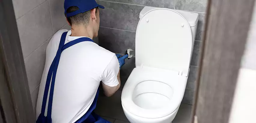 Toilet Lid Replacement in Simi Valley