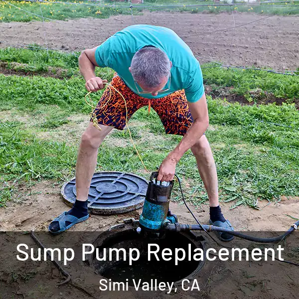  Sump Pump Replacement Simi Valley, CA