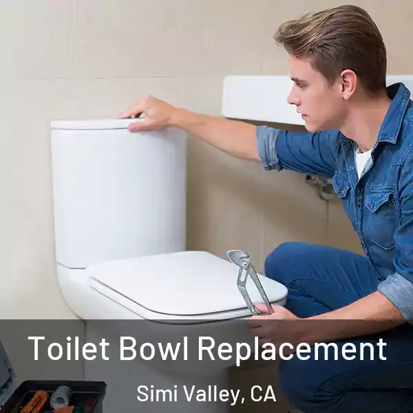  Toilet Bowl Replacement Simi Valley, CA