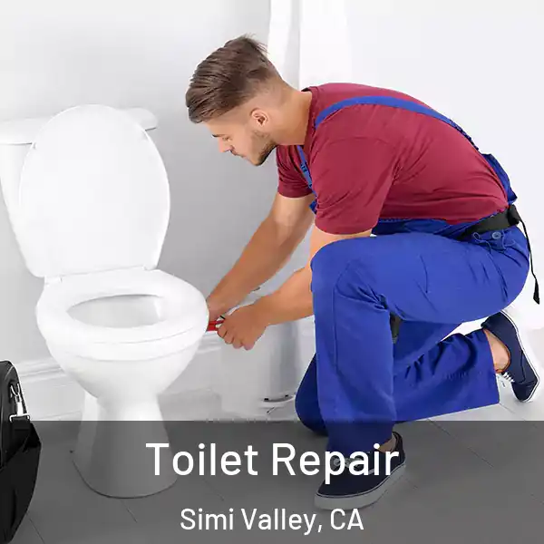  Toilet Repair Simi Valley, CA